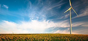 Consultoría ambiental